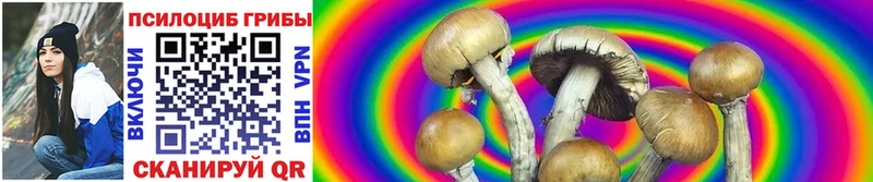 Псилоцибиновые грибы Psilocybe Энгельс