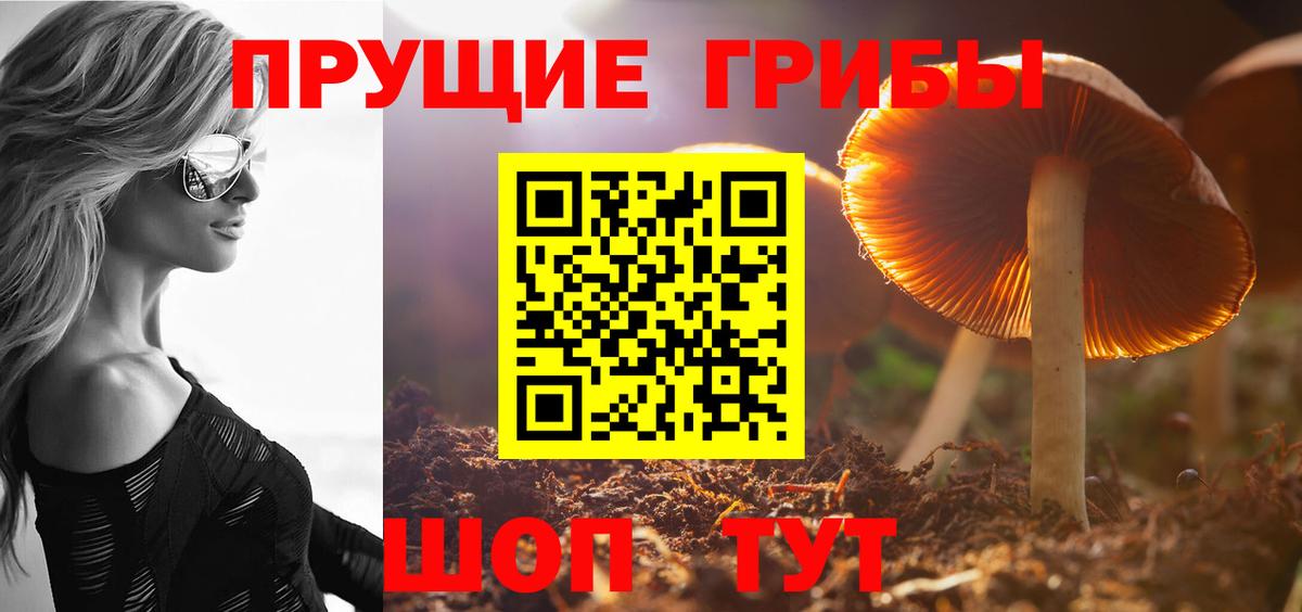 Энгельс  где найти   Вход с VPN  Псилоцибиновые грибы мухоморы 